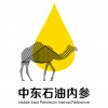 中東石油內參